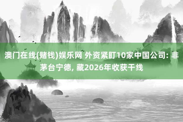 澳门在线(赌钱)娱乐网 外资紧盯10家中国公司: 非茅台宁德， 藏2026年收获干线