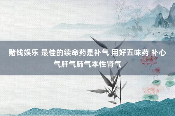 赌钱娱乐 最佳的续命药是补气 用好五味药 补心气肝气肺气本性肾气
