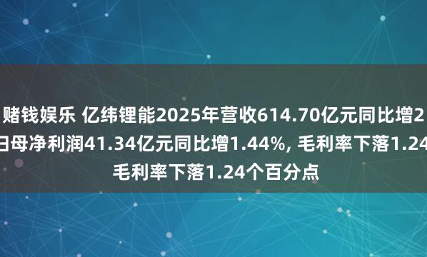 赌钱娱乐 亿纬锂能2025年营收614.70亿元同比增26.44%， 归母净利润41.34亿元同比增1.44%， 毛利率下落1.24个百分点