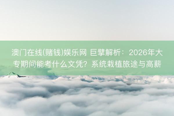 澳门在线(赌钱)娱乐网 巨擘解析：2026年大专期间能考什么文凭？系统栽植旅途与高薪