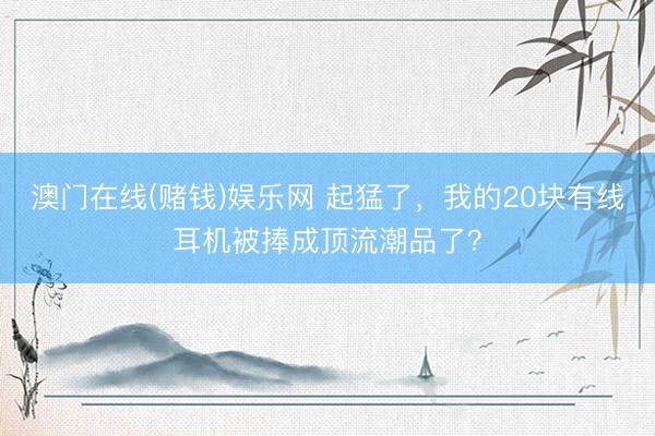 澳门在线(赌钱)娱乐网 起猛了，我的20块有线耳机被捧成顶流潮品了？