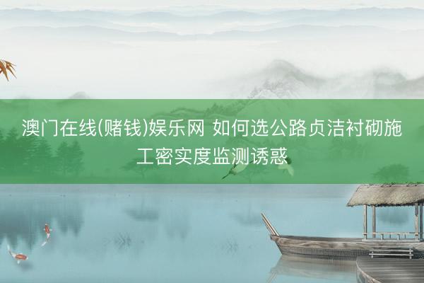 澳门在线(赌钱)娱乐网 如何选公路贞洁衬砌施工密实度监测诱惑