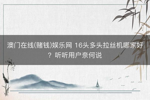 澳门在线(赌钱)娱乐网 16头多头拉丝机哪家好？听听用户奈何说