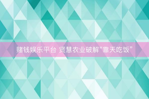 赌钱娱乐平台 贤慧农业破解“靠天吃饭”