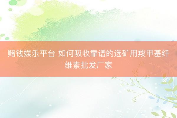 赌钱娱乐平台 如何吸收靠谱的选矿用羧甲基纤维素批发厂家