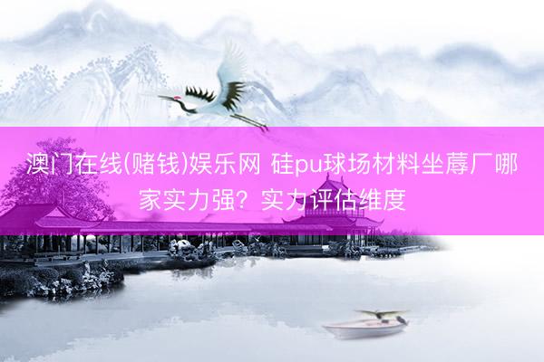 澳门在线(赌钱)娱乐网 硅pu球场材料坐蓐厂哪家实力强？实力评估维度