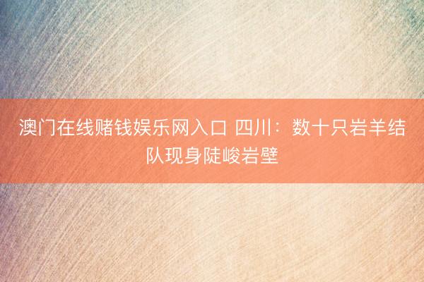 澳门在线赌钱娱乐网入口 四川：数十只岩羊结队现身陡峻岩壁
