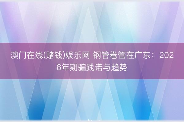 澳门在线(赌钱)娱乐网 钢管卷管在广东：2026年期骗践诺与趋势