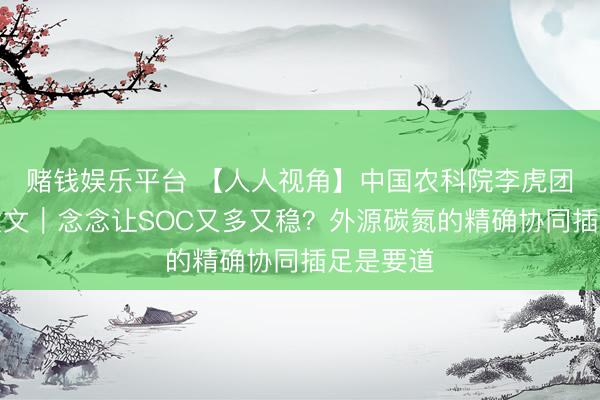 赌钱娱乐平台 【人人视角】中国农科院李虎团队最新发文｜念念让SOC又多又稳？外源碳氮的精确协同插足是要道