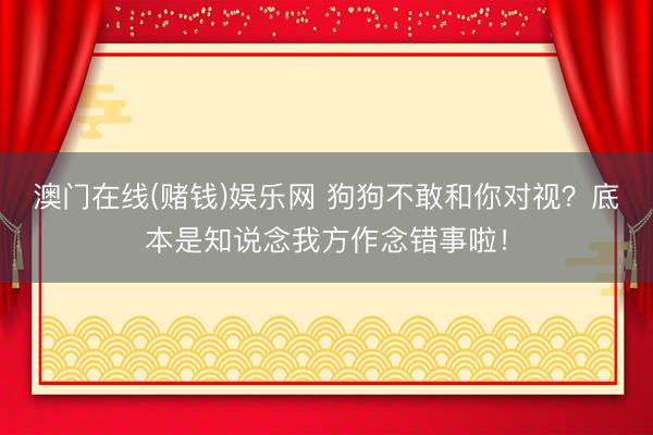 澳门在线(赌钱)娱乐网 狗狗不敢和你对视？底本是知说念我方作念错事啦！
