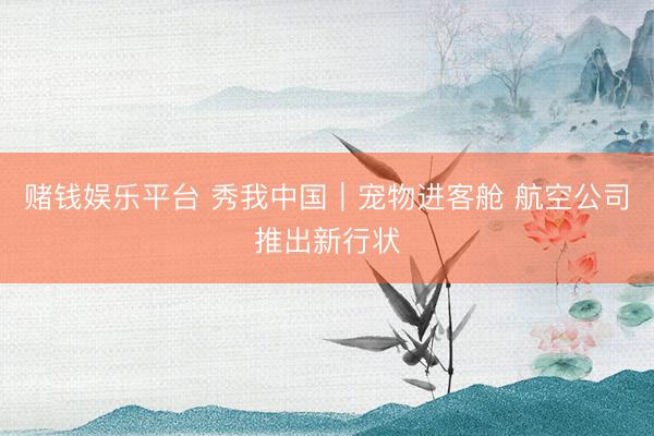 赌钱娱乐平台 秀我中国｜宠物进客舱 航空公司推出新行状