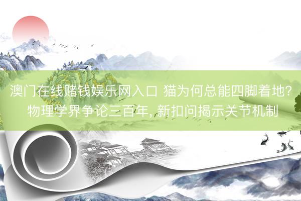 澳门在线赌钱娱乐网入口 猫为何总能四脚着地? 物理学界争论三百年， 新扣问揭示关节机制