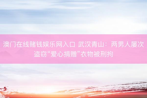 澳门在线赌钱娱乐网入口 武汉青山：两男人屡次盗窃“爱心捐赠”衣物被刑拘