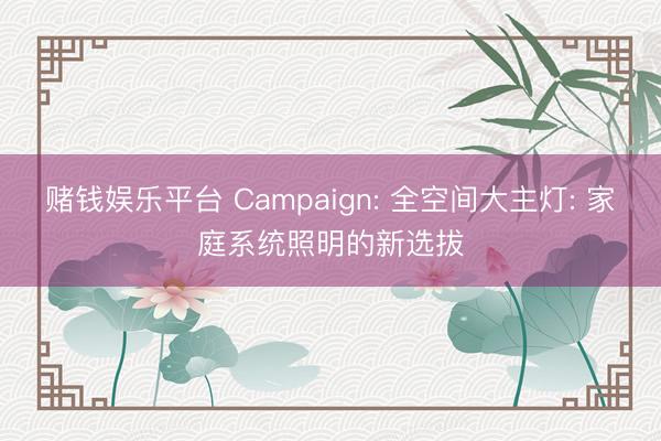赌钱娱乐平台 Campaign: 全空间大主灯: 家庭系统照明的新选拔