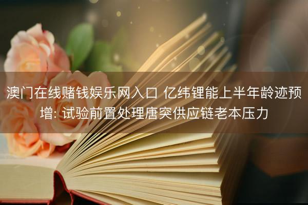 澳门在线赌钱娱乐网入口 亿纬锂能上半年龄迹预增: 试验前置处理唐突供应链老本压力