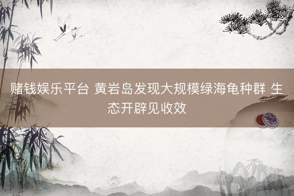 赌钱娱乐平台 黄岩岛发现大规模绿海龟种群 生态开辟见收效